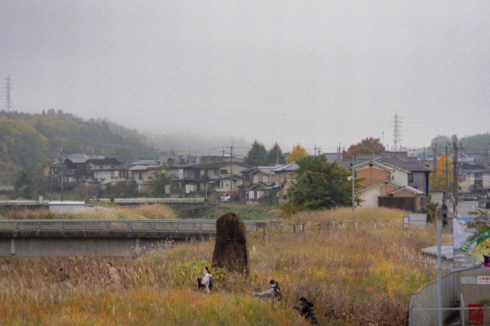 深い朝靄に包まれた亀岡