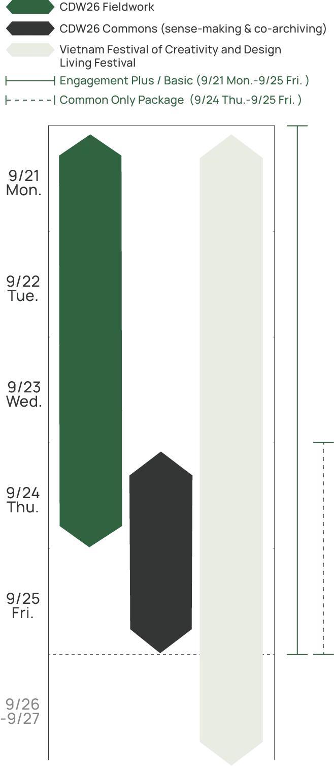 Timeline